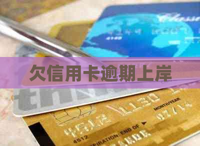 欠信用卡逾期上岸
