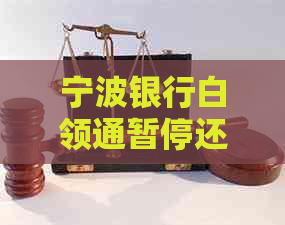 宁波银行白领通暂停还款法务协商流程详解