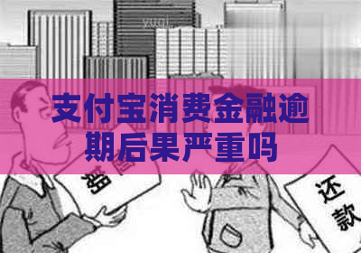 支付宝消费金融逾期后果严重吗