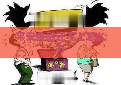 平安金融还不上怎么办
