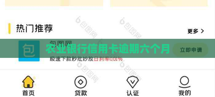 农业银行信用卡逾期六个月