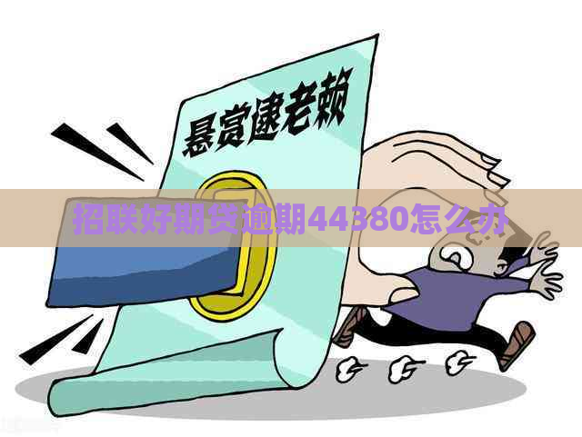 招联好期贷逾期44380怎么办