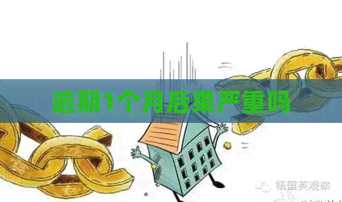 逾期1个月后果严重吗