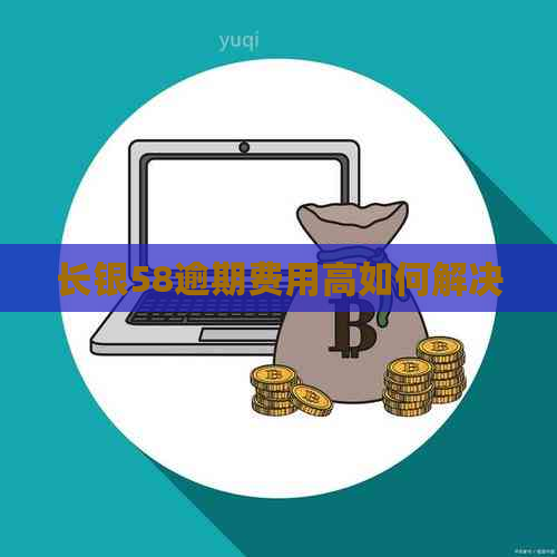 长银58逾期费用高如何解决