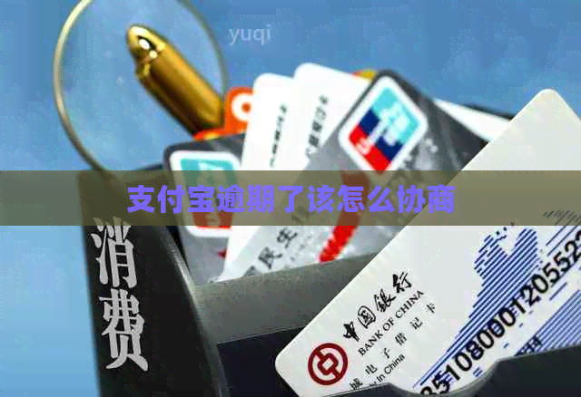 信用卡逾期了该怎么协商