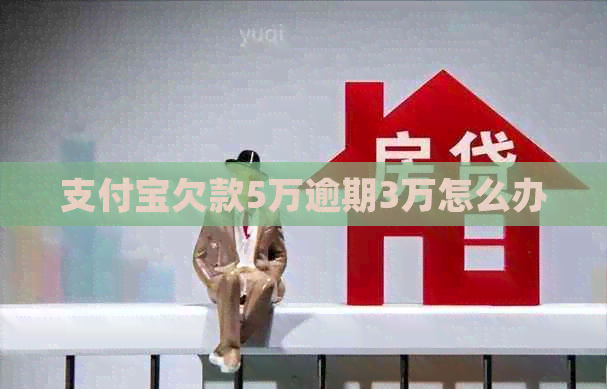 信用卡欠款5万逾期3万怎么办