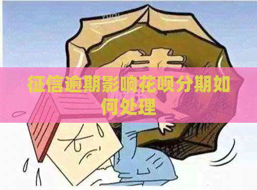 逾期影响白条分期如何处理
