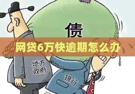 网贷6万快逾期怎么办