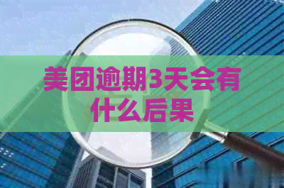 美团逾期3天会有什么后果