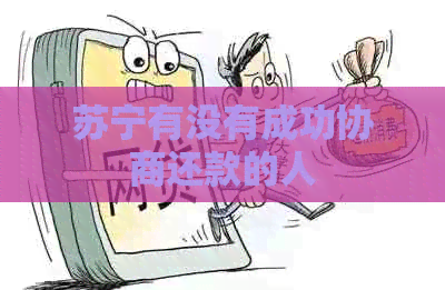 苏宁有没有成功协商还款的人