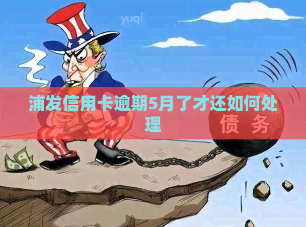 浦发信用卡逾期5月了才还如何处理