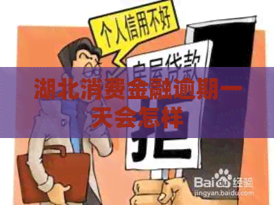湖北消费金融逾期一天会怎样