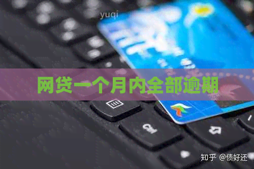 网贷一个月内全部逾期