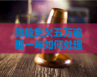 微粒贷欠五万逾期一年如何处理