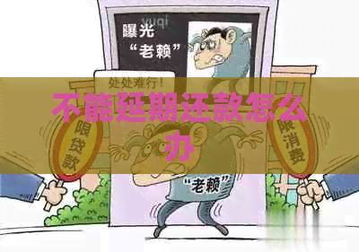 不能延期还款怎么办