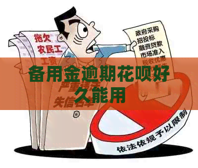 备用金逾期白条好久能用
