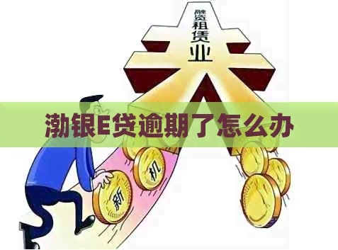 渤银E贷逾期了怎么办