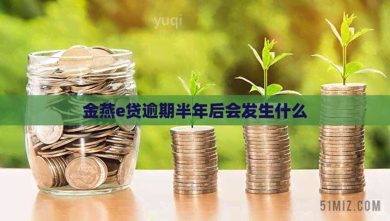 金燕e贷逾期半年后会发生什么