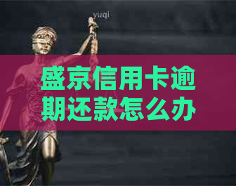盛京信用卡逾期还款怎么办