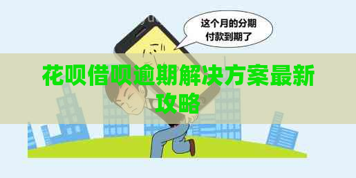 白条信用卡逾期解决方案最新攻略