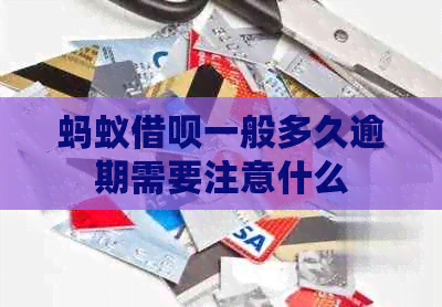 蚂蚁信用卡一般多久逾期需要注意什么
