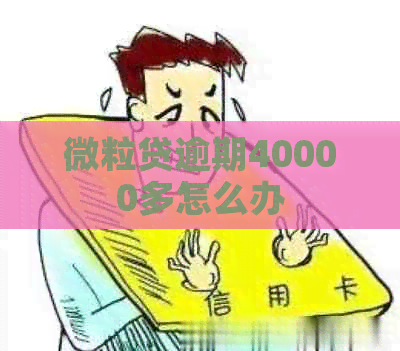 微粒贷逾期40000多怎么办