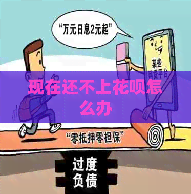 现在还不上白条怎么办