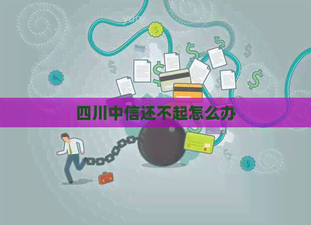 四川中信还不起怎么办
