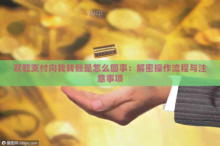 双乾支付向我转账是怎么回事：解密操作流程与注意事项