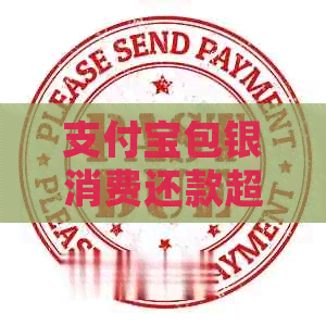 信用卡包银消费还款超期处理方法汇总