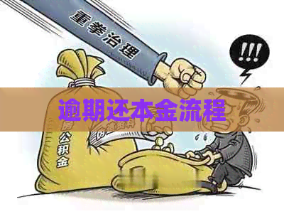 逾期还本金流程