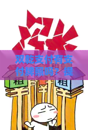双乾支付有支付牌照吗？提供牌照照片，评价和使用体验，平台功能解析。