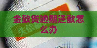 金致贷逾期还款怎么办