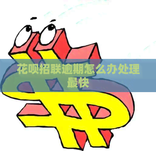 白条招联逾期怎么办处理最快