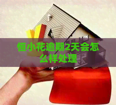 恒小花逾期2天会怎么样处理