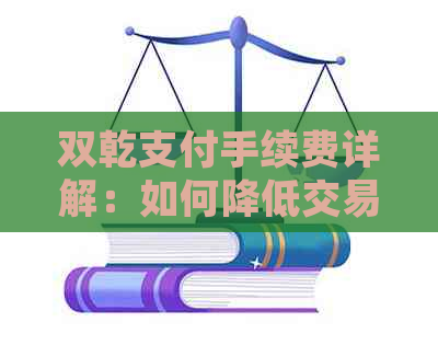 双乾支付手续费详解：如何降低交易成本及优化支付体验