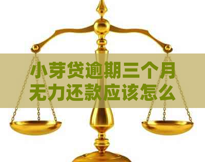 小芽贷逾期三个月无力还款应该怎么办