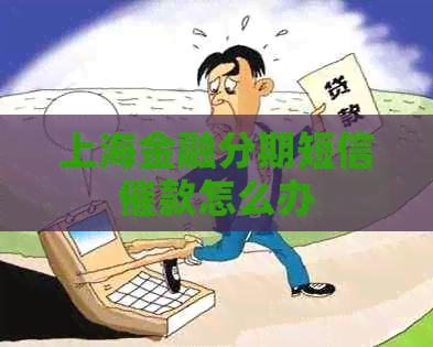 上海金融分期短信催款怎么办