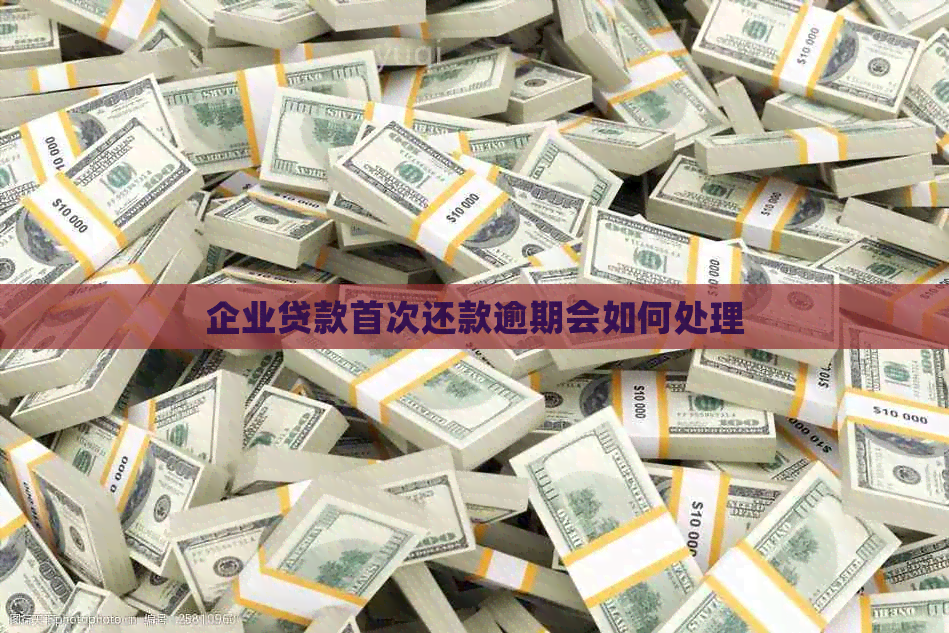 企业贷款首次还款逾期会如何处理