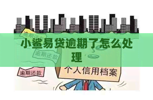 小鲨易贷逾期了怎么处理