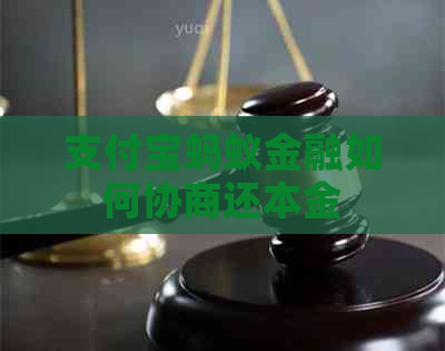 信用卡蚂蚁金融如何协商还本金