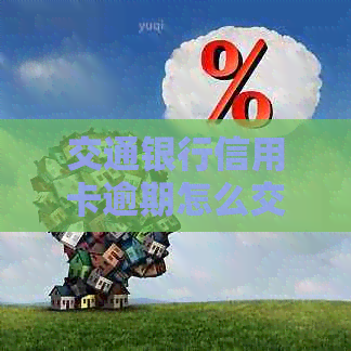 交通银行信用卡逾期怎么交