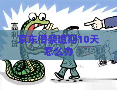京东借条逾期10天怎么办