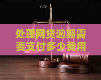 处理网贷逾期需要支付多少费用