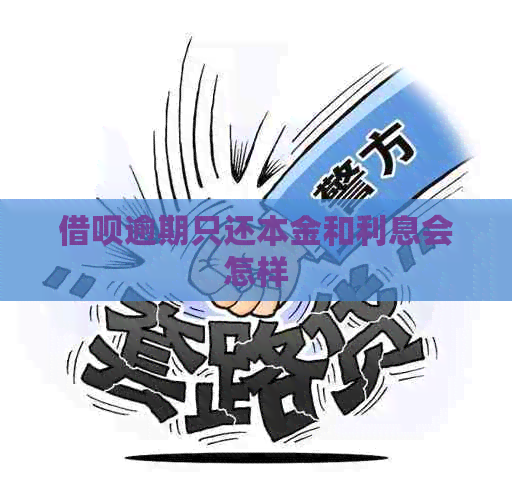 信用卡逾期只还本金和利息会怎样