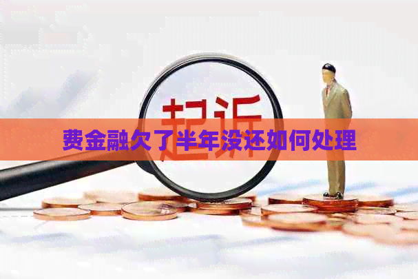 费金融欠了半年没还如何处理