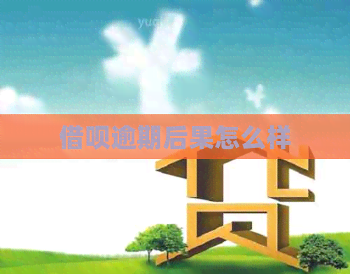 信用卡逾期后果怎么样
