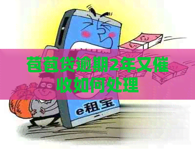 苞苞贷逾期2年又如何处理
