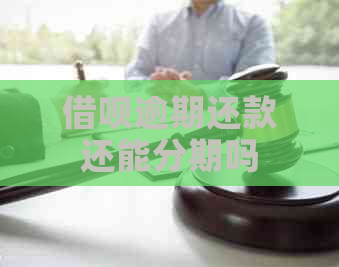 信用卡逾期还款还能分期吗