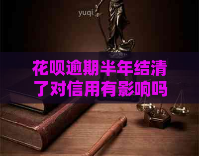 白条逾期半年结清了对信用有影响吗